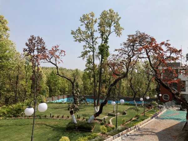 About Palash Blossom Estate