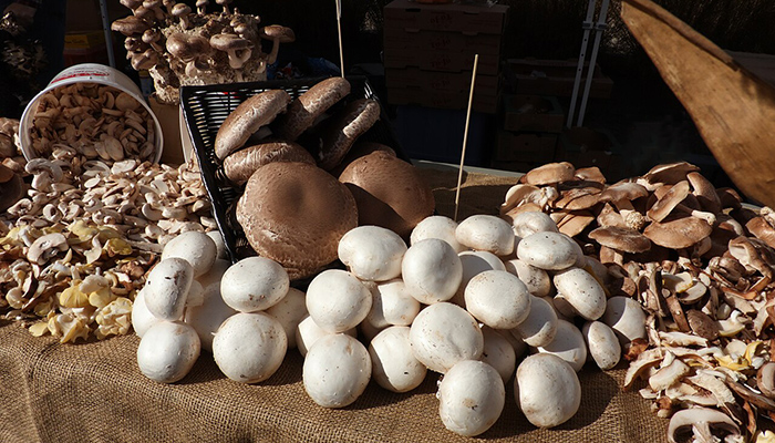 Integrated Mushroom Production Programme