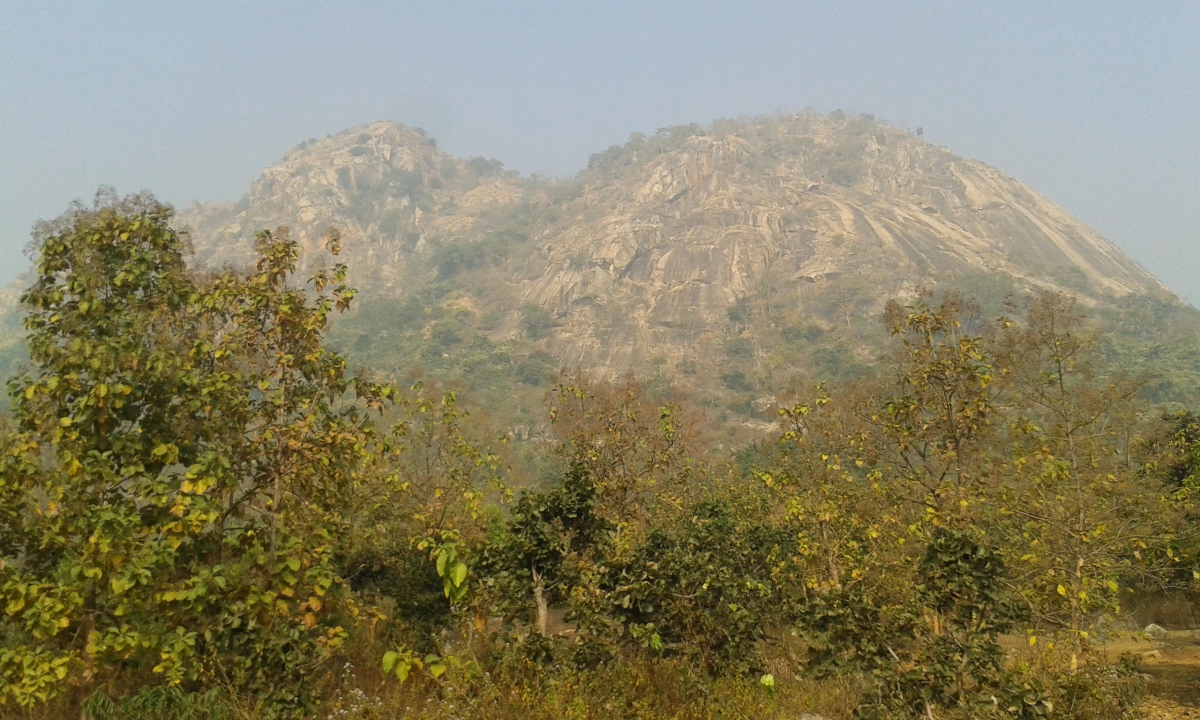 Pakhi Pahar